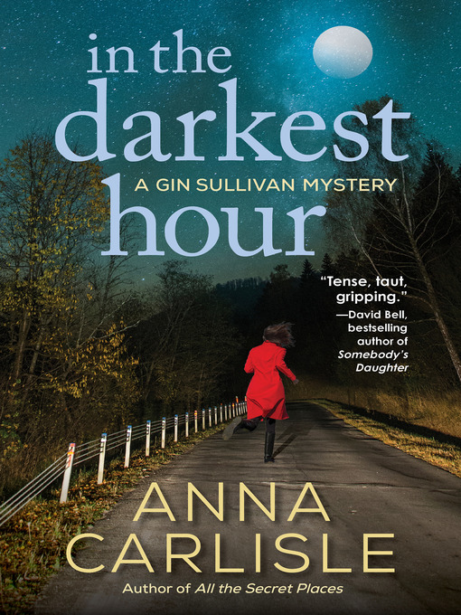 Cover image for In the Darkest Hour